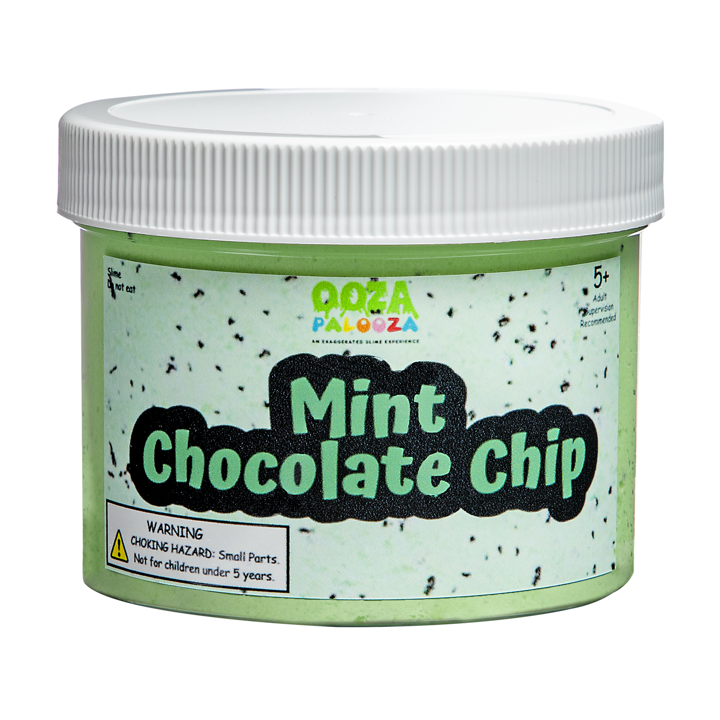 Mint Chocolate Chip Slime